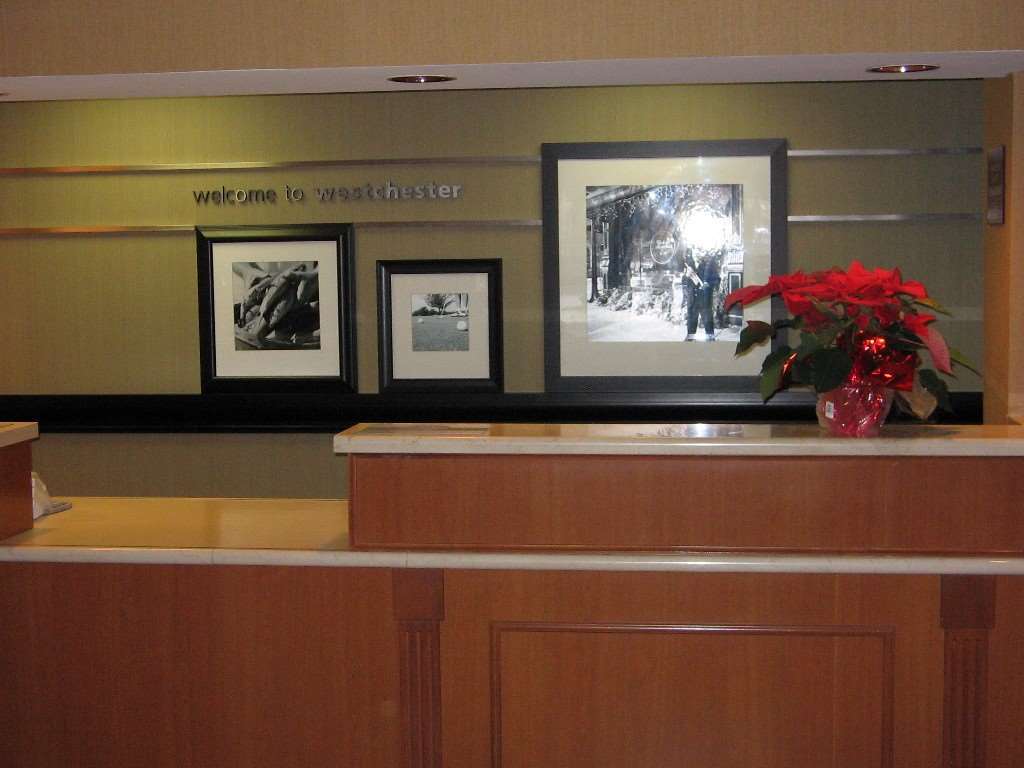 Four Points By Sheraton Chicago Westchester/Oak Brook Interior photo
